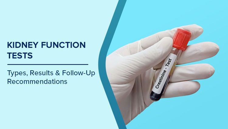 medium kidney function test 58911c7525